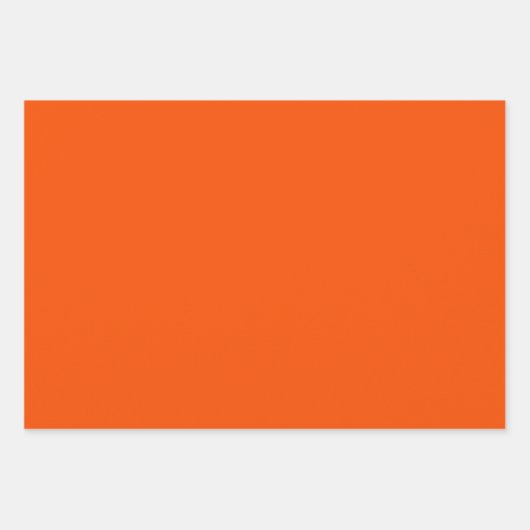 Retro 70s Flowers Oranje en Brown Floral Pattern Inpakpapier Vel (Voorkant 3)