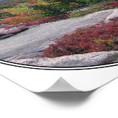 Retro  Acadia National Park Maine Island Poster (Hoek)