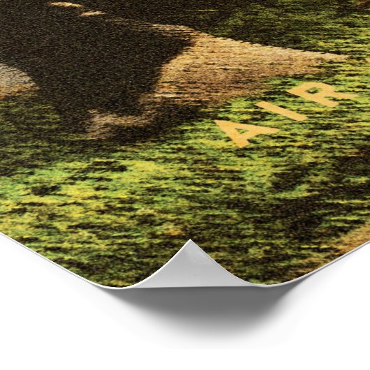 Retro African Mountain Zebra - Deel 2 Poster (Hoek)