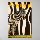 Retro African Mountain Zebra - Deel 2 Poster (Voorkant)