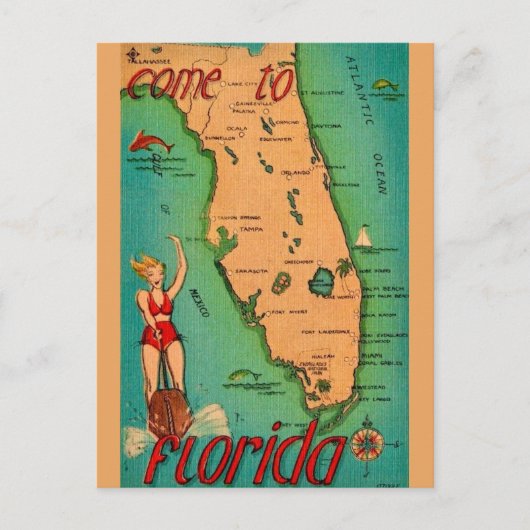 Retro ansichtkaart van Florida Briefkaart (Voorkant)
