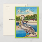 Retro ansichtkaart van Florida  Briefkaart (Voorkant / Achterkant)