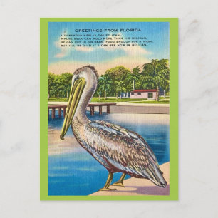 Retro ansichtkaart van Florida Briefkaart