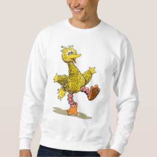 Retro Art Big Bird Trui