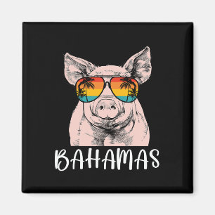 Retro Bahamas Varken Bahamas Souvenir Familie Vaka Magneet