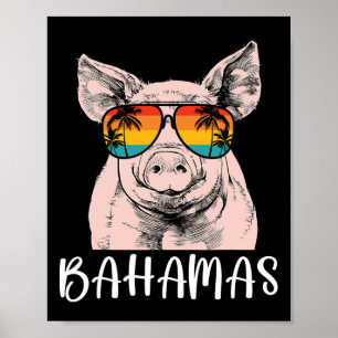 Retro Bahamas Varken Bahamas Souvenir Familie Vaka Poster
