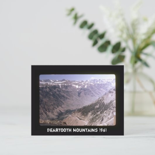 Retro Beartooth Bergen Schilderachtig snelweg land Briefkaart (Staand voorkant)