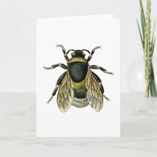 Retro Bee Antiek Illustratie zwart en geel Kaart (Voorkant)