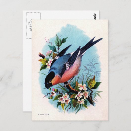 Retro Bird op Branch Briefkaart (Voorkant / Achterkant)