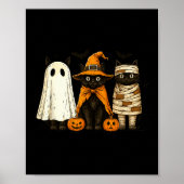 Retro Black Cat Witch Y Halloween Pumpkin Women Me Poster (Voorkant)