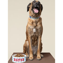 Retro Blue White Checkered Dog Puppy Cat Name Food Voerbakje