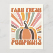 Retro Boerderij Fresh Pumpkins Briefkaart (Voorkant)
