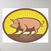 Retro Boerderij Pig met Sunburst Poster (Voorkant)