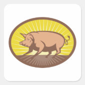 Retro Boerderij Pig met Sunburst Vierkante Sticker (Voorkant)