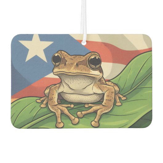 Retro Boricua Pride Poster Luchtverfrisser (Voorkant)