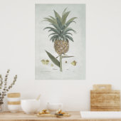 Retro Botanische anische ananasettekening Poster (Keuken)