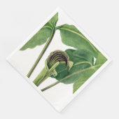 RETRO BOTANISCHE ILLUSTRATIE: JACK IN DE KANSEL SERVET (Hoek)