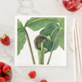 RETRO BOTANISCHE ILLUSTRATIE: JACK IN DE KANSEL SERVET (Insitu)