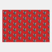 Retro Bowling Pins en Ball Inpakpapier Vel (Voorkant)