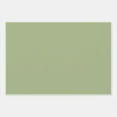 Retro bruiloft groen roze gestreept inpakpapier vel (Voorkant 3)