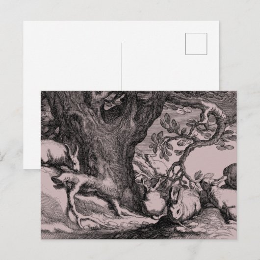 Retro  Bunny Rabbits Briefkaart (Voorkant / Achterkant)