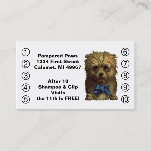 Retro Business Punch Cards Pet Puppy Dog Grooming Klantenkaartje (Voorkant)