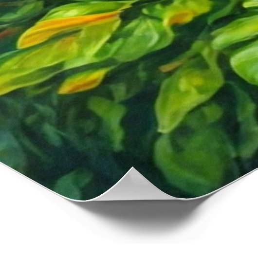 Retro Butterfly illustratie Poster (Hoek)