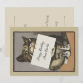 retro Cat Birthday of Bedankkaart (Voorkant / Achterkant)