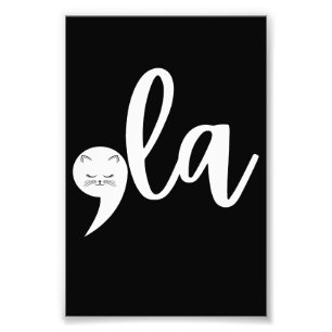 Retro Cat Comma La Kamala Harris 2024 Verkiezingen Foto Afdruk