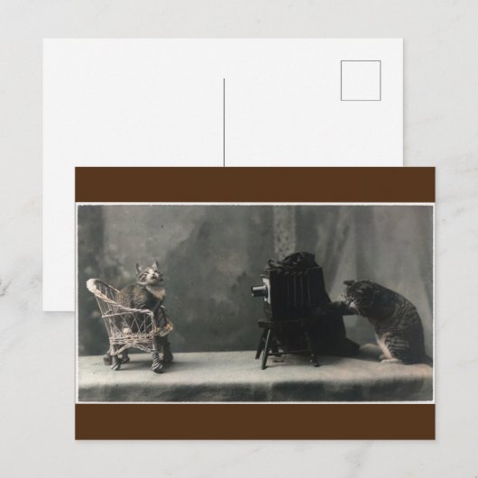   Retro Cat Foto nemen Briefkaart (Voorkant / Achterkant)