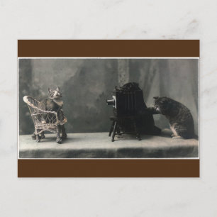   Retro Cat Foto nemen Briefkaart