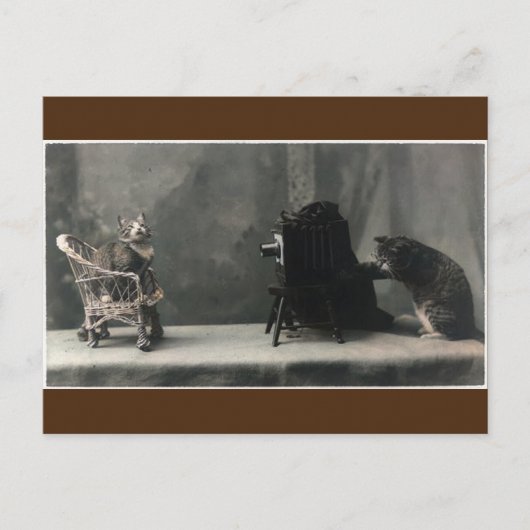   Retro Cat Foto nemen Briefkaart (Voorkant)