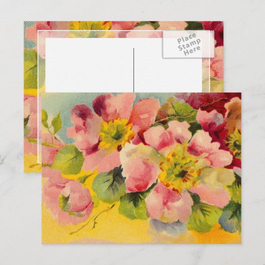 Retro Chic Elegant Roze  Bloemen Primroses Briefkaart (Voorkant / Achterkant)