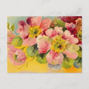 Retro Chic Elegant Roze  Bloemen Primroses Briefkaart