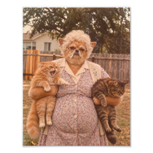 Retro Chihuahua oma die twee boze katten vasthoudt Foto Afdruk