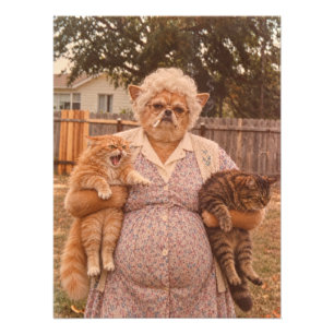 Retro Chihuahua oma die twee boze katten vasthoudt Foto Afdruk