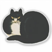 Retro Chinese Qing-dynastie Black Manchu Cat Sticker (Voorkant)