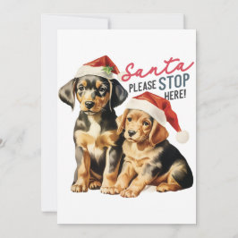 Retro Christmas Puppy Santa Stop alsjeblieft Schat Feestdagenkaart