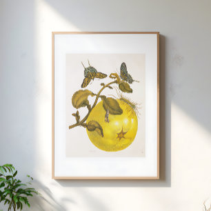 Retro citroenplant met vlinders Geel kunstwerk Poster