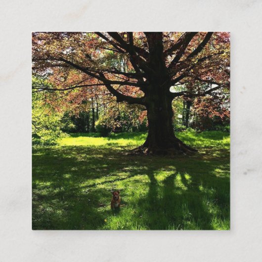 Retro Classic Square Insta Visitekaartjes (Achterkant)