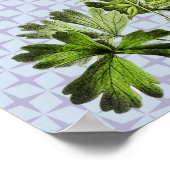  Retro Columbine Floral Art Poster (Hoek)