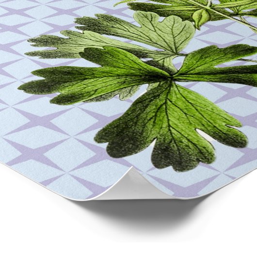  Retro Columbine Floral Art Poster (Hoek)