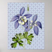  Retro Columbine Floral Art Poster (Voorkant)