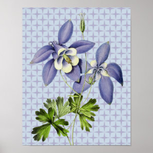 Retro Columbine Floral Art Poster