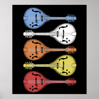 Retro Country Music Mandolin Bluegrass Poster
