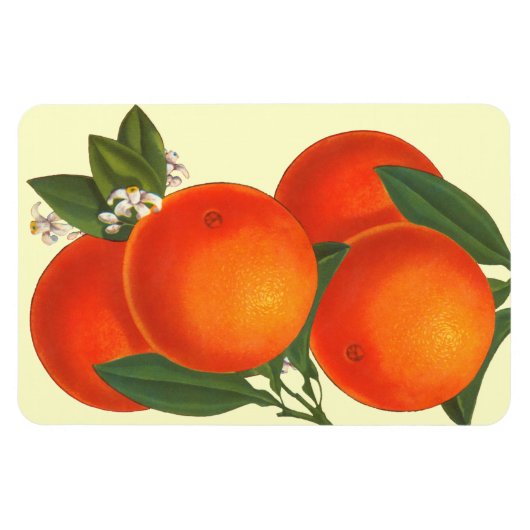 Retro Crate Art Sinaasappels magneet (Horizontaal)