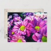 Retro Daisies I Briefkaart (Voorkant / Achterkant)