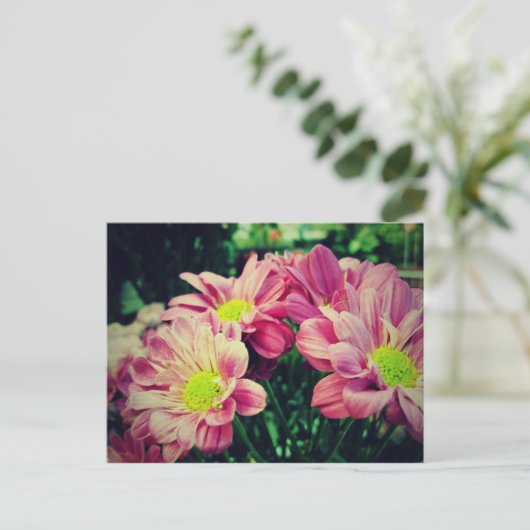 Retro Daisies II Briefkaart (Staand voorkant)