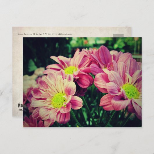 Retro Daisies II Briefkaart (Voorkant / Achterkant)