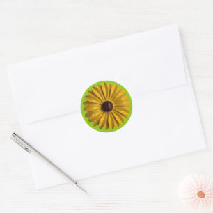 Retro Daisy Flower Spring Summer Garden Weddenscha Ronde Sticker